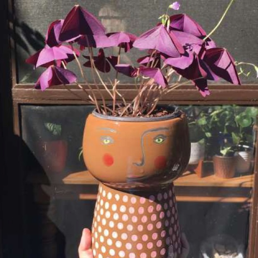 Opalhouse Stoneware Family Planter Pot - Picture 16 of 16